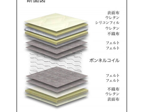 Gボンネルレギュラー　グランツ