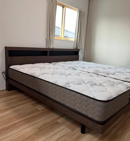 フランスベッド　エコモア　ツインベッド